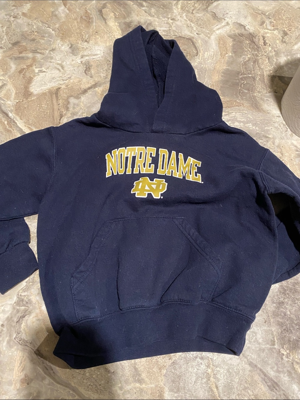 Champion Navy Blue Notre Dame Hoodie with Gold Logo
